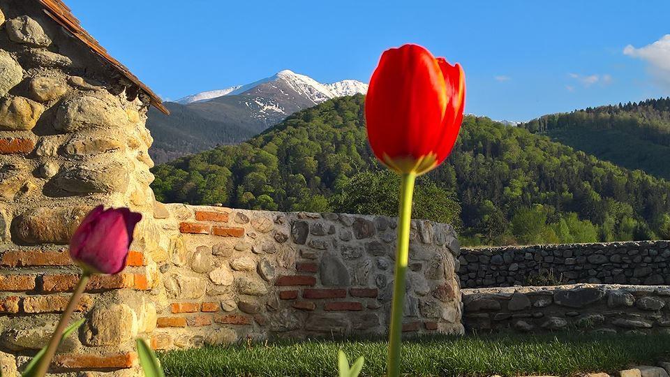 Pensiunea Casa Luanna