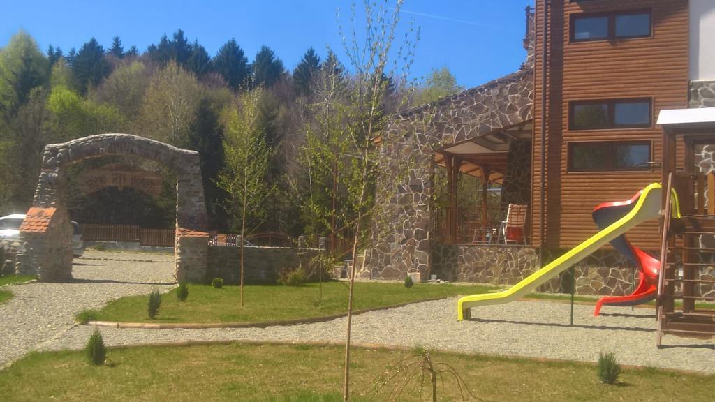 Farm stay Pensiunea Casa Luanna Dragus